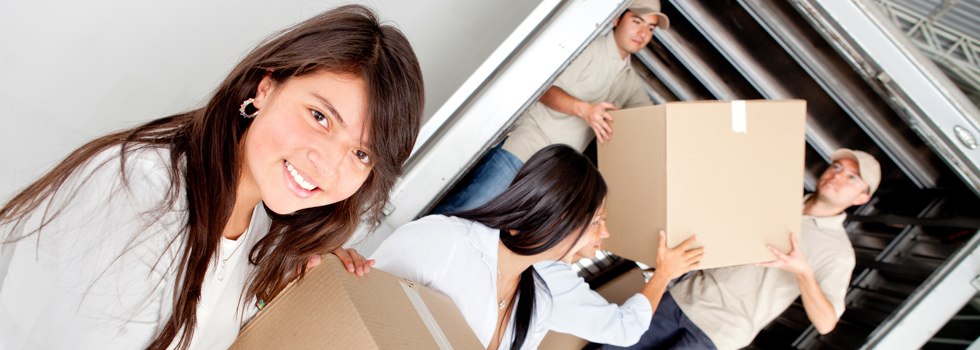 Professional Removalists Purlewaugh